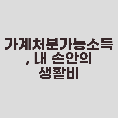 가계처분가능소득, 내 손안의 생활비