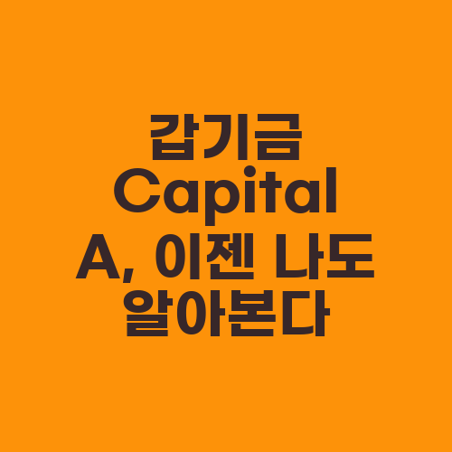 갑기금 Capital A, 이젠 나도 알아본다