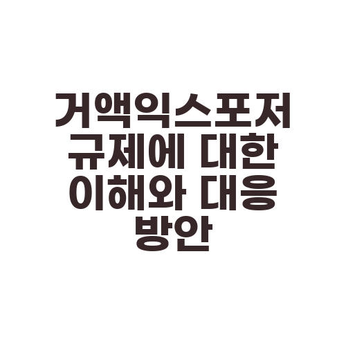 거액익스포저 규제에 대한 이해와 대응 방안