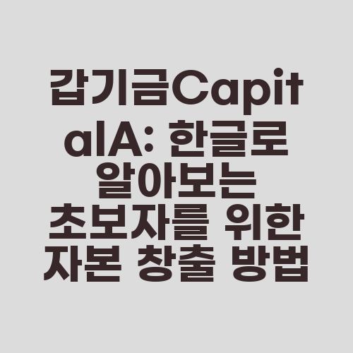 갑기금CapitalA: 한글로 알아보는 초보자를 위한 자본 창출 방법
