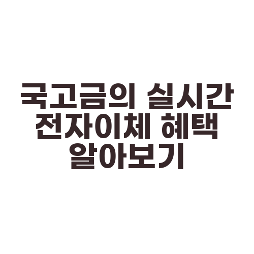 국고금의 실시간 전자이체 혜택 알아보기