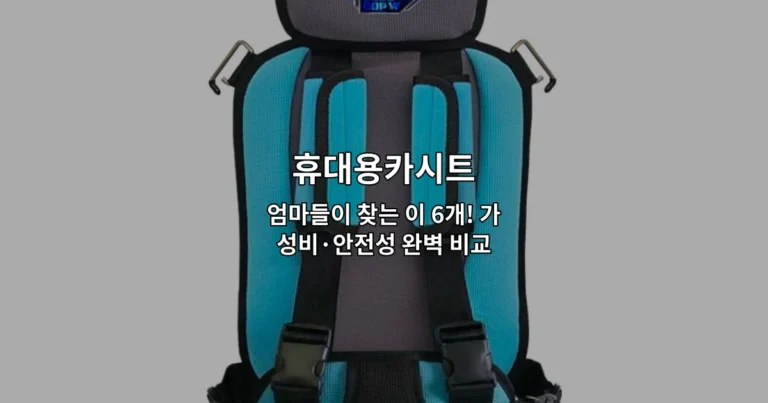 가성비와 안전성을 갖춘 휴대용카시트 6개 제품을 비교 소개하는 썸네일 이미지